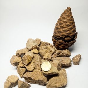 Gravilla amarilla para jardín